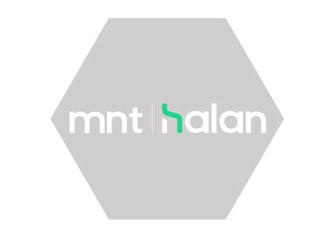 mnt halan raises circa   million  international investors