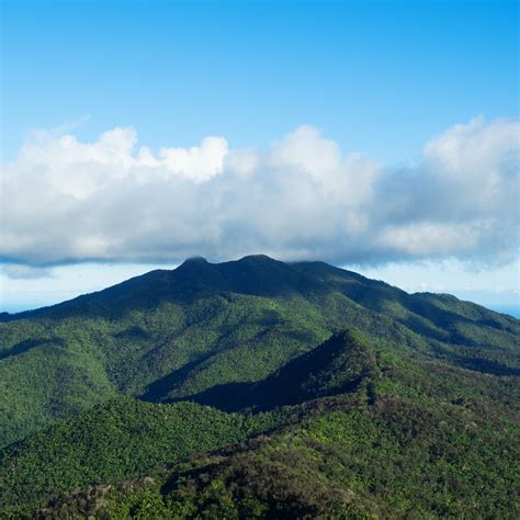 El Yunque National Rainforest Conquistadortravels