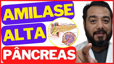 Amilase E Lipase Altas - Causas da amilase alta no exame de sangue: pancreatite, caxumba ...