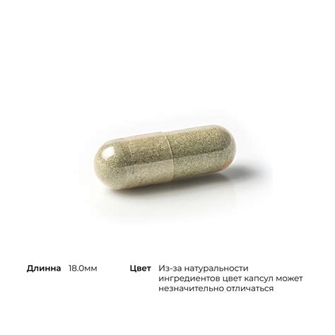 Бисглицинат железа, Iron Bisglycinate, Thorne Research, 60 капсул ...