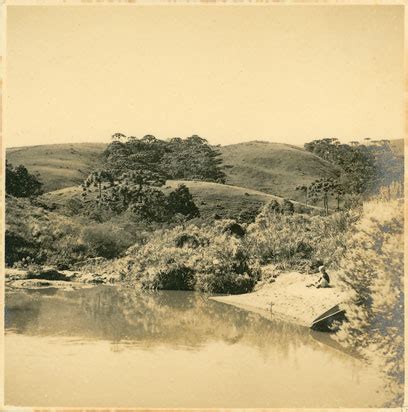 Vista De Rio Acervo Museu Monteiro Lobato