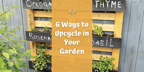 Six Diy Ways To Upcycle Your Garden Chippewa Valley Growers