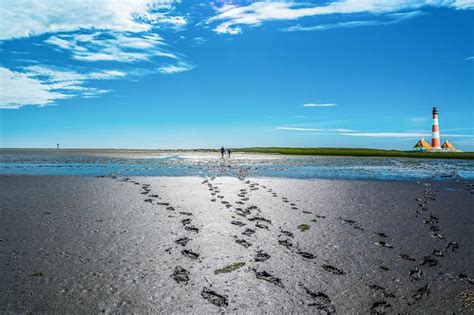 Wattenmeer Nationalparks Weltnaturerbe In Der Nordsee