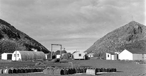 macquarie island station   history australian antarctic program