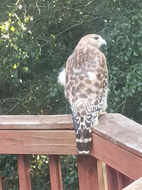 Links Archives Naked Capitalism