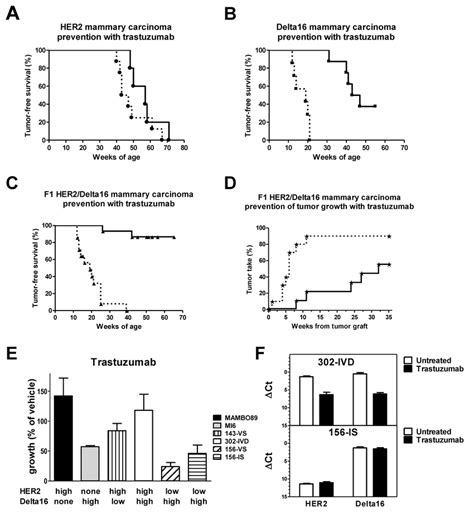 Response To Trastuzumab Treatment In Vivo And In Vitro A C Download Scientific Diagram