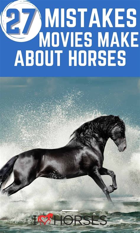 horses movies 4