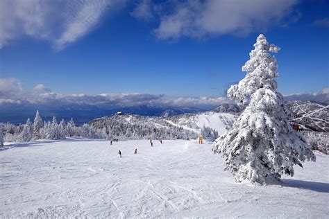 shiga kogen terakoya  yamanouchi machi  ai mindtrip