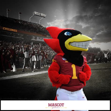 Iowa State Cyclones - College Wall Art