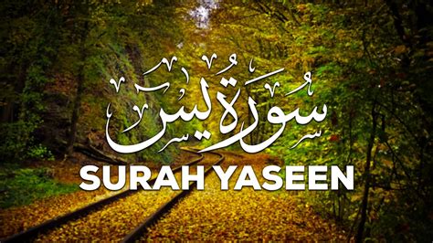 Surah Yasin Yaseen Full Hd Arabic Text 036 سورۃ یس By Mishary Rashid Alafasy 05