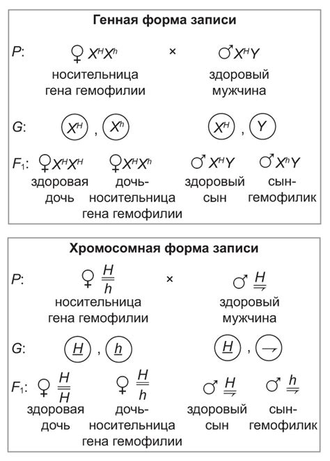 § 35. Генетика пола: Особенности наследования признаков, сцепленных с полом