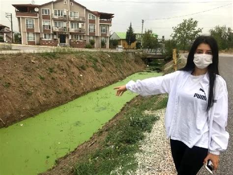 Kocaeli de derenin rengi yeşile döndü Son Dakika