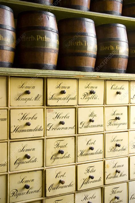 Apothecary - Stock Image - N810/0054 - Science Photo Library