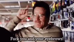 Walter White Fuck You Walter White Fuck You Fuck Your Eyebrows Discover Share GIFs