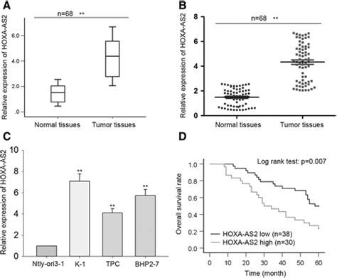 LncRNA HOXA AS2 Facilitates Tumorigenesis And Progression Of Papillary