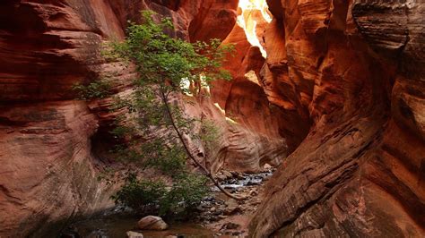 Zion National Park Desktop Wallpaper 66 Images