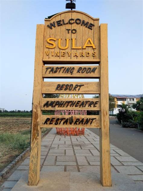 Wine Tasting Day Tour Sula Vineyards Nashik From Mumbai