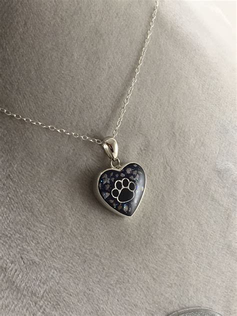 jewelry ashes pets 4