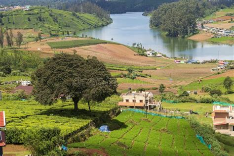 Scenic Beauty Of Ooty Against Blue Sky Stock Photo Image Of Copyright
