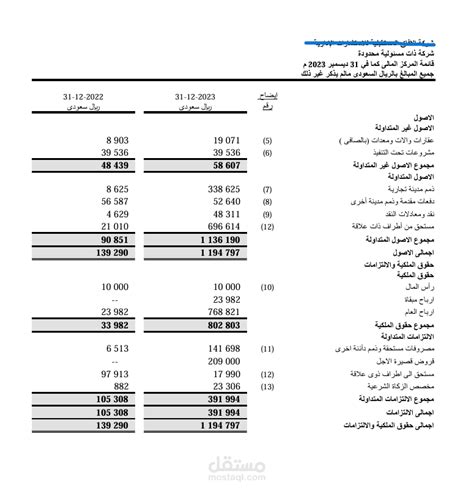القوائم المالية لسنة 2023 لشركة ذات مسئولية محدودة | مستقل
