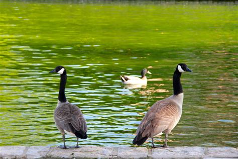 Ohio State Campus Amanda Hamman Let S Make Something Pretty