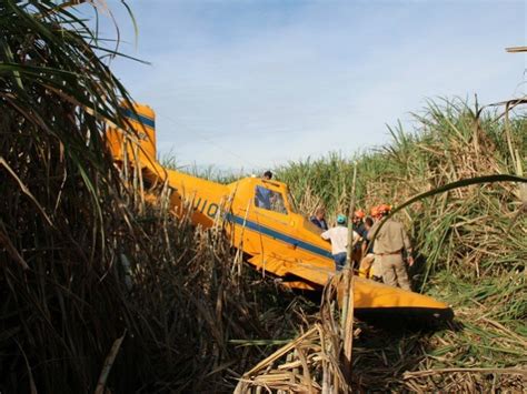 G1 Piloto De Avião Agrícola Fica Ferido Após Pouso Forçado Em Ms