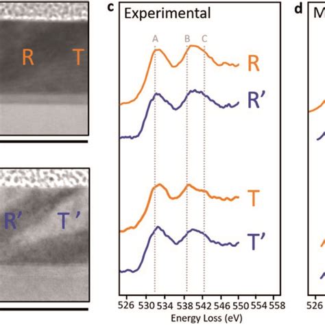 Tetragonality Maps Of A Native And B Stress Induced Phases In