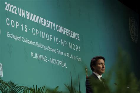 Cop15s Global Biodiversity Framework Must Advance Indigenous Led