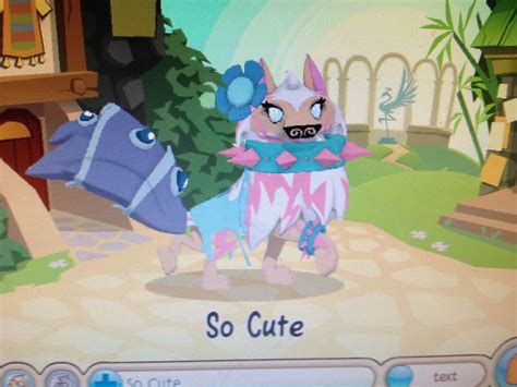 Cute animal jam arctic wolf looks - herywill