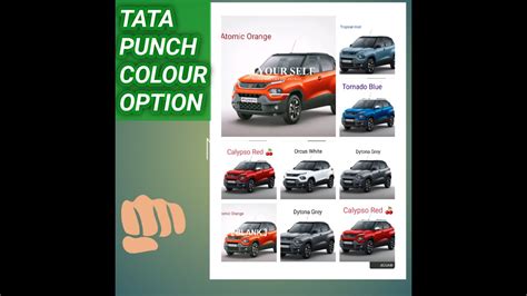 Tata Punch Variant Wise Colour Option Pure Adventure Accomplished And