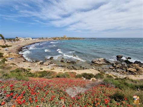 Tabarca Qué ver y hacer en la isla cómo llegar actividades con niños