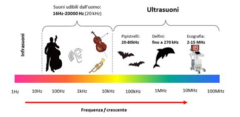 Cosa Sono Gli Ultrasuoni Scantec