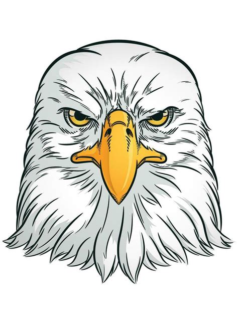 Eagle Head Front View Falcon Bird 27565503 Vector Art At Vecteezy
