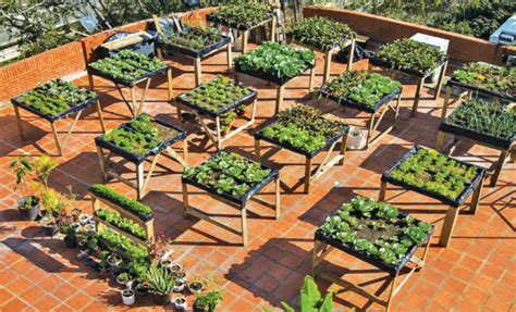 Agriculturaurbana Arquitectura Y Sustentabilidad UTEM