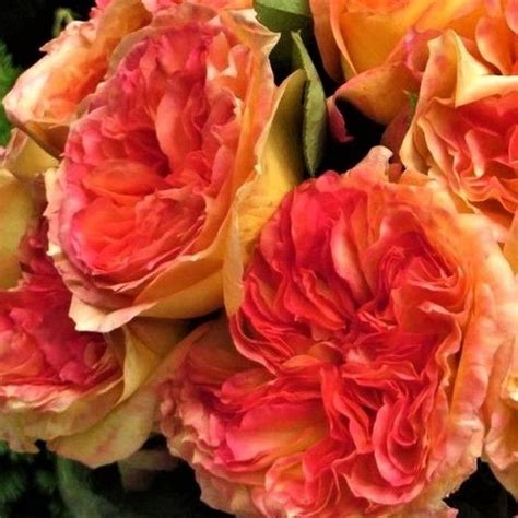 Анри Дельбар