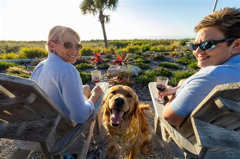Dog Training Elite Dog Training In Los Angeles Ca