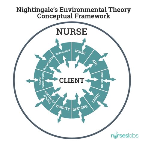 florence nightingales biography  environmental theory study guide