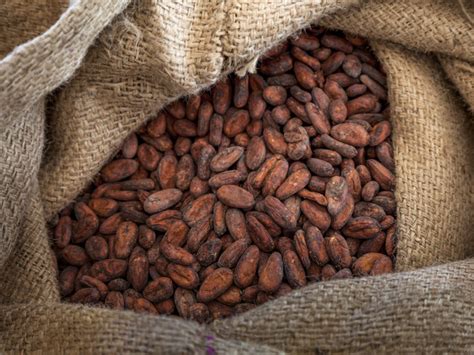 Ferrero - FoodDrinkEurope : FoodDrinkEurope