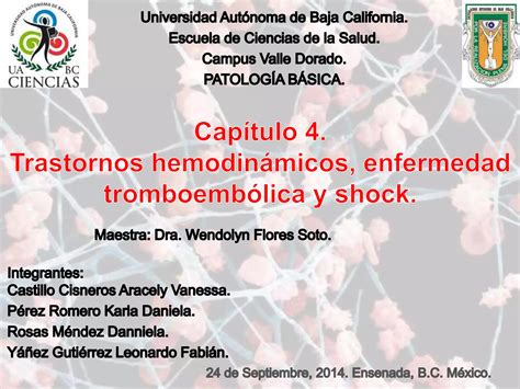 Cap Tulo Transtornos Hemodin Micos Enfermedad Tromboemb Lica Y Shock