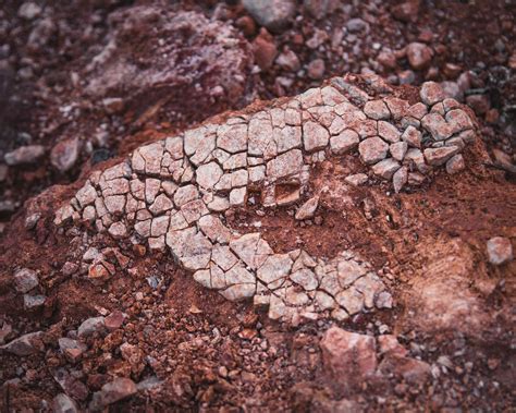 Sorver Versos - HOJE, dia 15.11, nasceu o SORVER VERSOS, num encontro