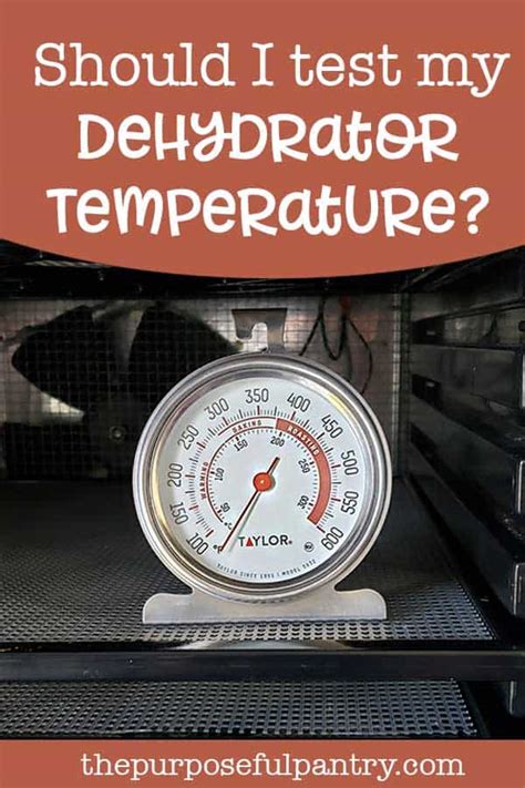 Test The Temperature On Your Dehydrator For Safe Dehydrating The Purposeful Pantry