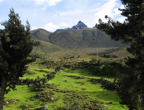 Venezuela Travelers Nuestros Andes