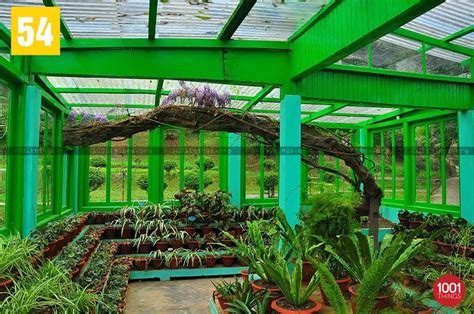 Lloyd Botanical Garden- Darjeeling