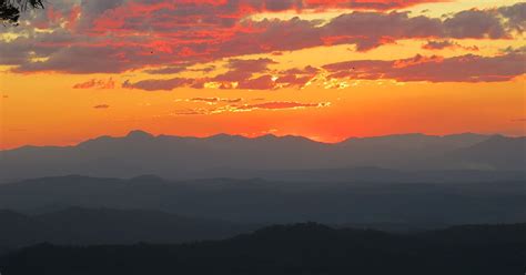 Day Tripping In Canungra Must Do Gold Coast