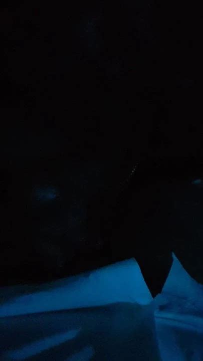 Pompino Trans Free Shemale HD Porn Video XHamster