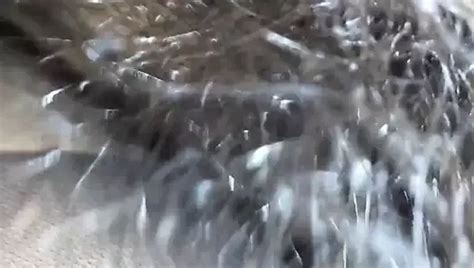 Free Korean Babe Porn Videos XHamster