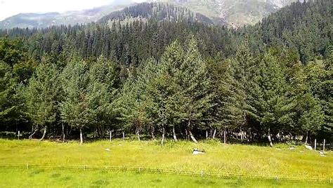 Manoor Valley Of Kaghan Unexplored Valley Video Dailymotion