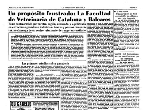 Historia de las Manifestaciones de Orgullo Gay en España