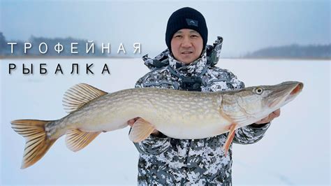 Поймал здоровую щуку. Ловля щуки на заливе. Трофейная рыбалка в ...