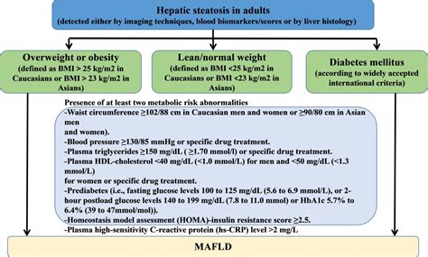 association  triglyceride glucose related markers   risk